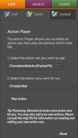 Using the Action Player